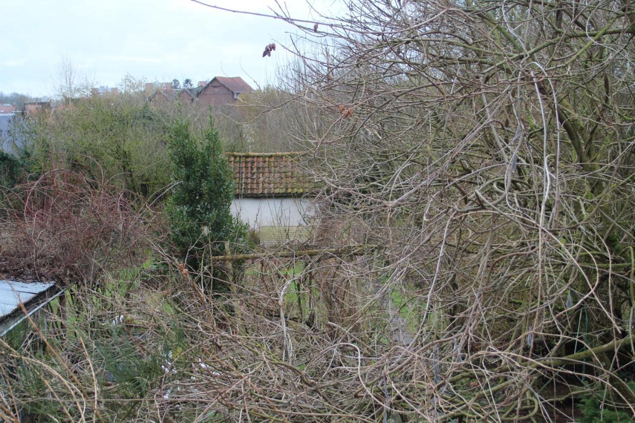 Maison D'Artiste Acces Jardin Maubeuge Eksteriør bilde